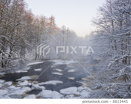 Winter Landscape Winter Landscape 8813441