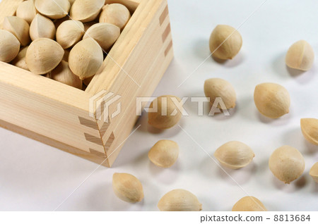 Ginkgo nuts 8813684