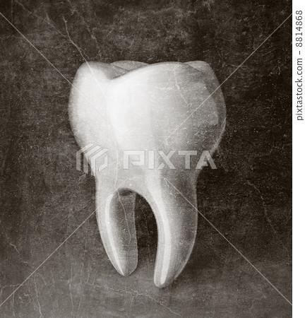 tooth 8814868