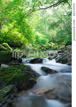 Scenery of Okinawa · Clear flow of Yanbaru · Higa river 8815050