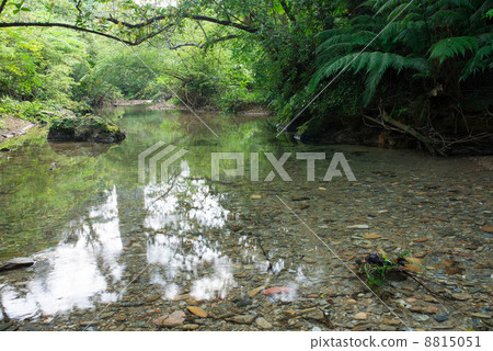 Yanbaru's Clean Flow Higa River 8815051