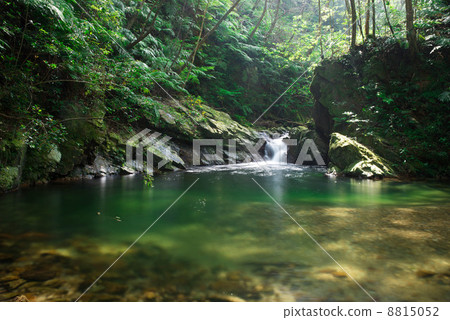 Yanbaru no Taki Higahigahara 8815052