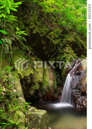 Yanbaru的清潔流動Higa河 8815054