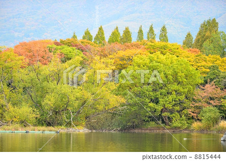 Mishima Pond and Ibukiyama 8815444