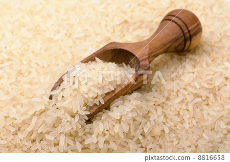 Rice 8816658