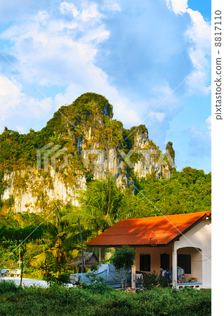 Thai Mountains Thai Mountains 8817110