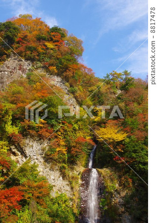 Late autumn Minami Aso village Hadamitsu hot spring Autumnal leaves and Golden Dragon waterfall Late autumn Minami Aso village Hadamitsu hot spring Autumnal leaves and Golden Dragon waterfall 8817478