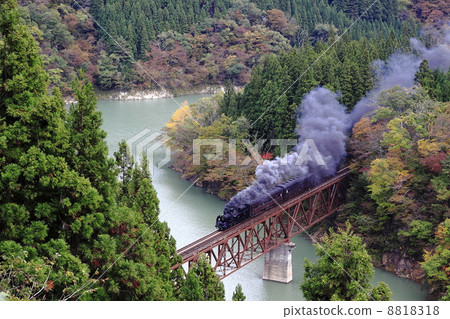 Autumnal Today Line SL 8818318