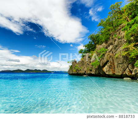 Tropical seashore 8818733