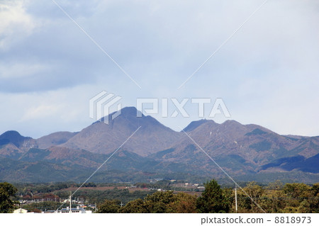 Mr. Haruna (Gunma) 8818973
