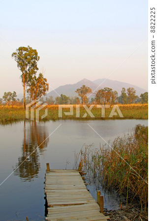 Hong Kong wetland with lake and wooden pier Hong Kong wetland with lake and wooden pier 8822225