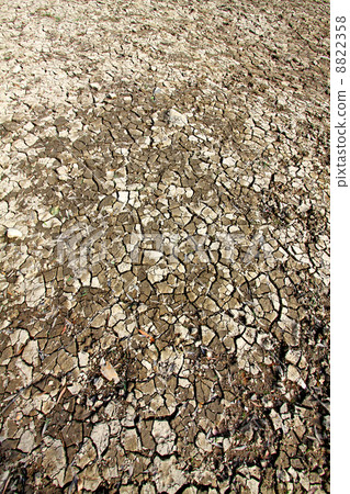 Dried land cracks in desert 8822358