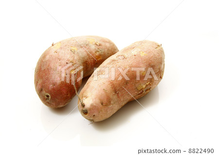 Sweet potatoes isolated on white background Sweet potatoes isolated on white background 8822490