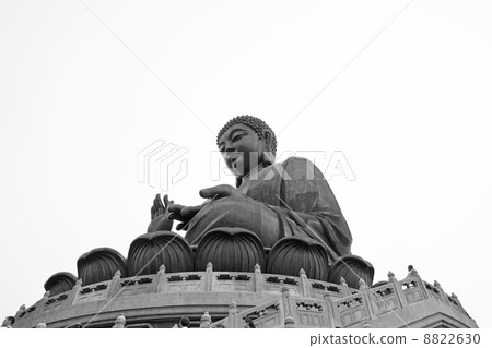 The Big Buddha in Hong Kong 8822630