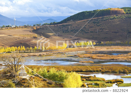 Autumn landscape in the mountains 8822924