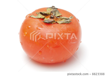 Orange persimmon isolated on white background Orange persimmon isolated on white background 8823388