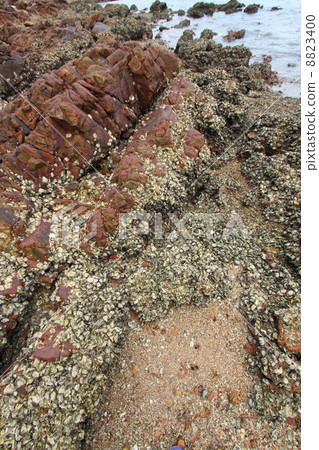 Sedimentary rocks in Hong Kong Geo Park Sedimentary rocks in Hong Kong Geo Park 8823400