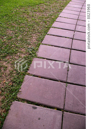 Rocky floor 8823968