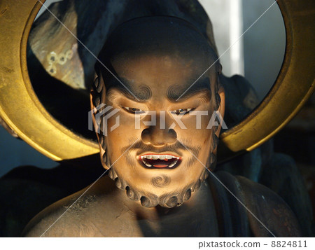 Buddha statue 8824811