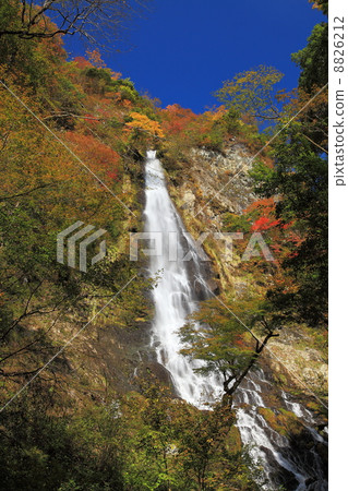 秋葉和落的瀑布 8826212