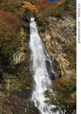 秋葉和落的瀑布 8826213