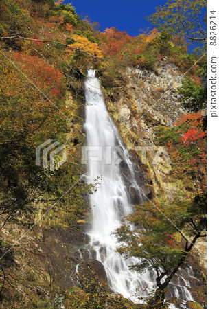 秋葉和落的瀑布 8826214