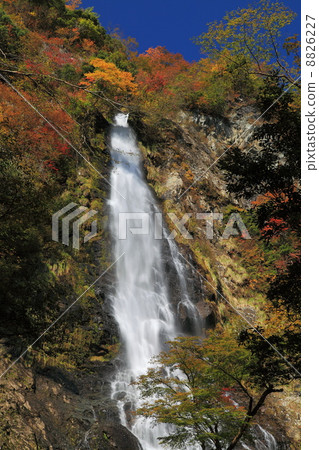 秋葉和落的瀑布 8826227