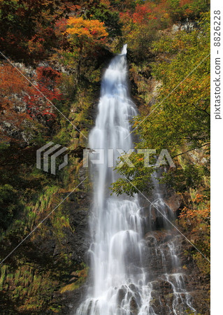 秋葉和落的瀑布 8826228