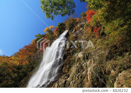 秋葉和落的瀑布 8826232