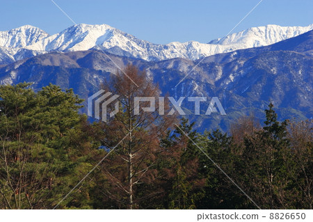 Southern Alps in winter 8826650