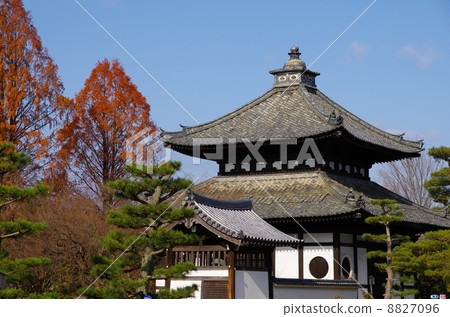 Tofukuji Temple 8827096