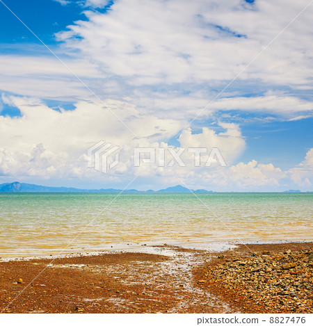 Tropical Beach 8827476