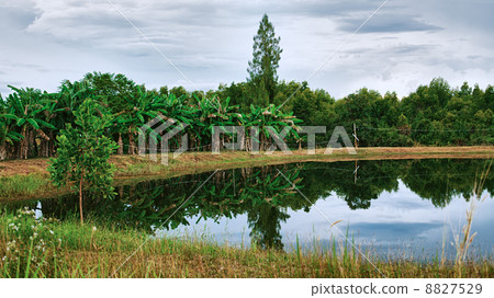 Thai Landscape Thai Landscape 8827529