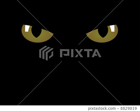 feline eyes feline eyes 8829819