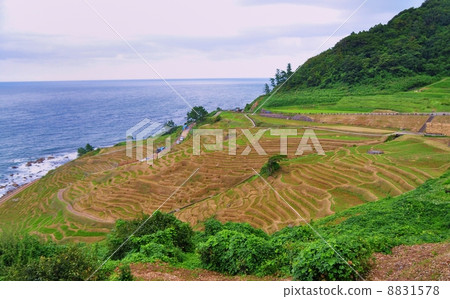 Ishikawa prefecture white rice noodles Ishikawa prefecture white rice noodles 8831578