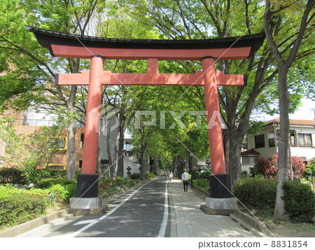 Omiya Hikawa接近道路 Omiya Hikawa接近道路 8831854