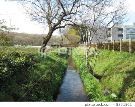 核火水 核火水 8831861