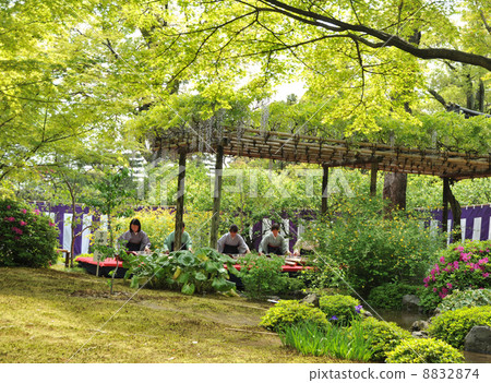 Kyoto Jonanmiya Heian garden 8832874