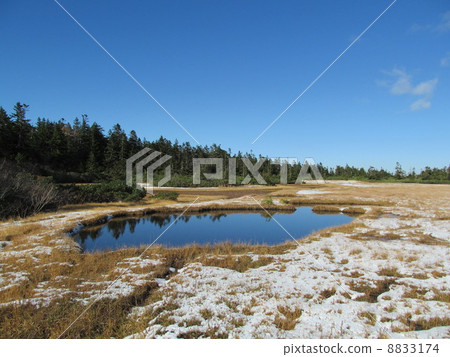 Snow Hachimantai Kurotani Mire Snow Hachimantai Kurotani Mire 8833174