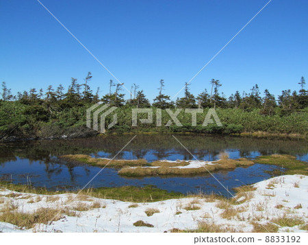 八幡平田代沼澤 八幡平田代沼澤 8833192