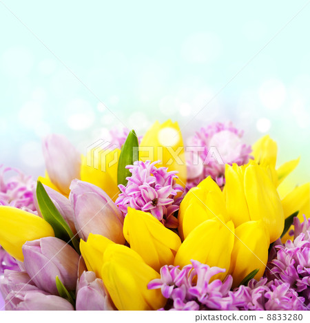 Beautiful flowers Beautiful flowers 8833280