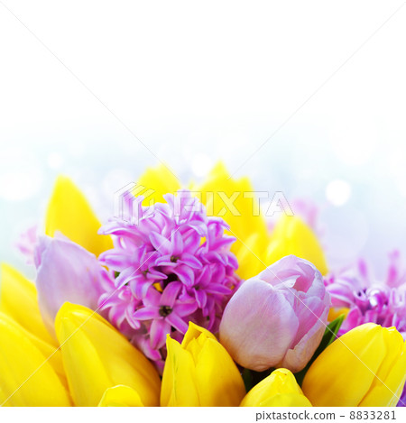 Beautiful flowers Beautiful flowers 8833281