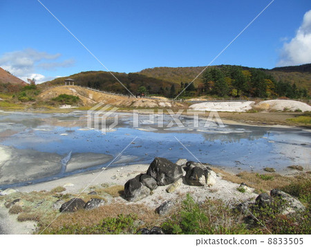 Suikenke Ojinumauma 8833505