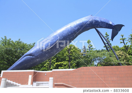 Objects of the bluefin tuna of the Tokyo Metropolitan Museum of Science 8833608