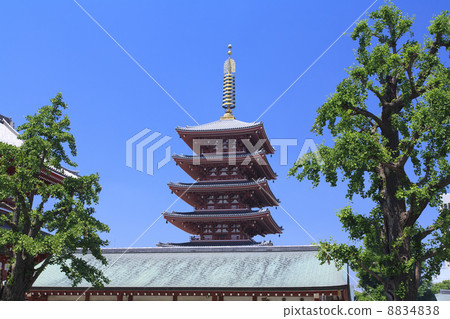5-storied pagoda of Asakusa-ji, Kinryuyama, Tokyo 8834838