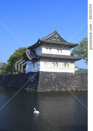 東京都皇宮Tsuto和天鵝 8835034