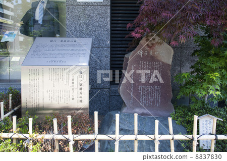 Tokyo · Higuchi Kazuaki's end of the world Tokyo · Higuchi Kazuaki's end of the world 8837830