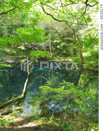 Pond of the twelve lakes boiling pot 8838274