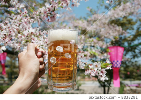 Hanami image 8838291