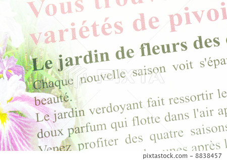 法國背景文件 8838457